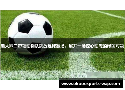 熊大熊二带领动物队挑战足球赛场，展开一场惊心动魄的绿茵对决