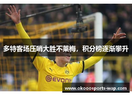 多特客场压哨大胜不莱梅，积分榜逐渐攀升