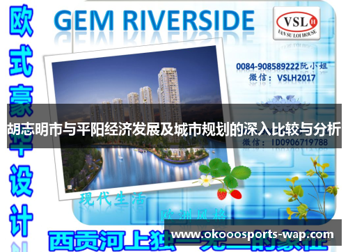 胡志明市与平阳经济发展及城市规划的深入比较与分析